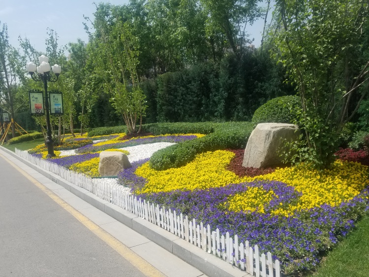 成功案例--园林花卉